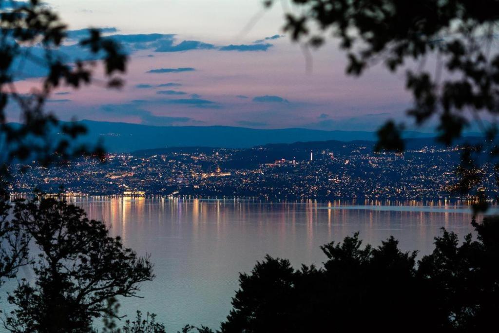 Le Garden - Ski - Vue Lac - Piscine - Parking - Evian - Thonon - Lugrin Exterior photo